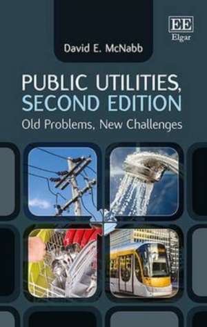 Public Utilities, Second Edition – Old Problems, New Challenges de David E. Mcnabb