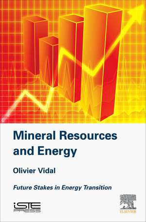 Mineral Resources and Energy: Future Stakes in Energy Transition de Olivier Vidal