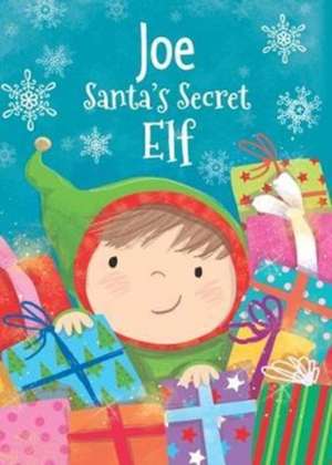 JOE SANTAS SECRET ELF de Katherine Sully