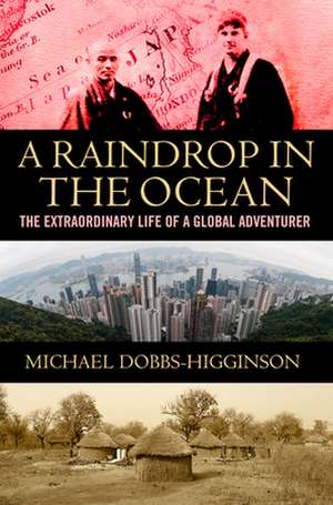A Raindrop in the Ocean de Michael Dobbs-Higginson