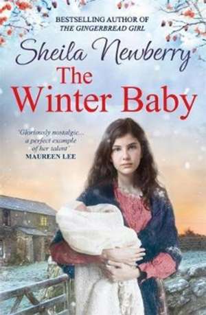 The Winter Baby de Sheila Newberry