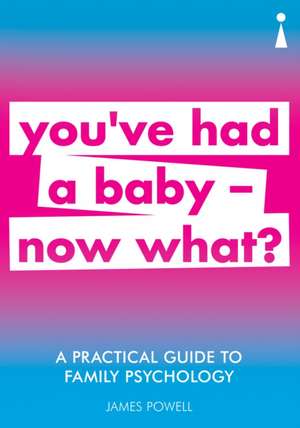 A Practical Guide to Family Psychology: You've had a baby - now what? de James Powell