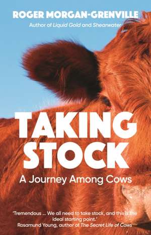 Taking Stock de Roger Morgan-Grenville