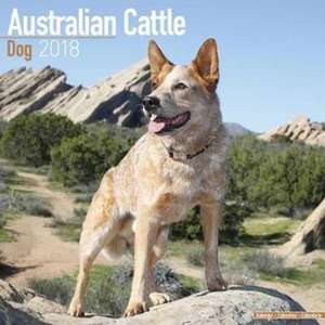 Australian Cattle Dog Calendar 2018 de Avonside Publishing Ltd.