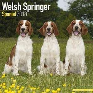 Welsh Springer Spaniel Calendar 2018 de Avonside Publishing Ltd.