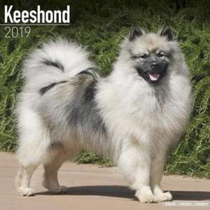 Keeshond Calendar 2019 de Avonside Publishing Ltd