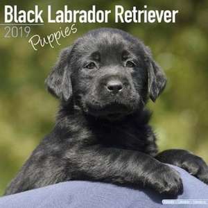 Black Labrador Retriever Puppies Calendar 2019 de Avonside Publishing Ltd