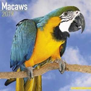 Macaws Calendar 2019 de Avonside Publishing Ltd