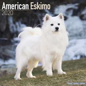 American Eskimo Calendar 2020 de Avonside Publishing Ltd