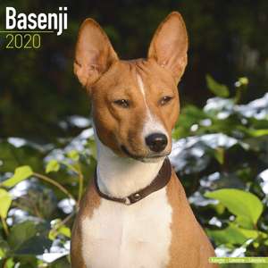 Basenji Calendar 2020 de Avonside Publishing Ltd