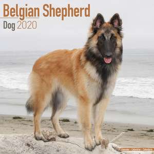 Belgian Shepherd Dog - Belgischer Schäferhund 2020 de Avonside Publishing Ltd