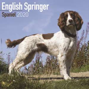 English Springer Spaniel Calendar 2020 de Avonside Publishing Ltd