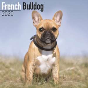 French Bulldog Calendar 2020 de Avonside Publishing Ltd