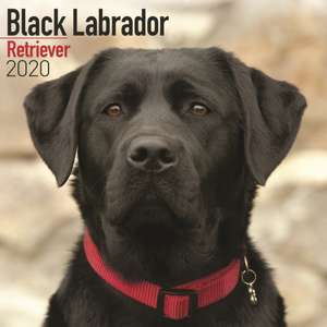 Black Labrador Retriever Calendar 2020 de Avonside Publishing Ltd