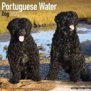 Portuguese Water Dog Calendar 2020 de Avonside Publishing Ltd