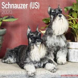 Schnauzer (US) Calendar 2020 de Avonside Publishing Ltd