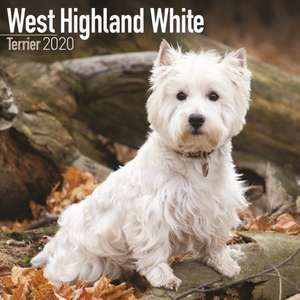 West Highland White Terrier Calendar 2020 de Avonside Publishing Ltd