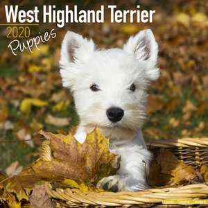 West Highland Terrier Puppies Calendar 2020 de Avonside Publishing Ltd