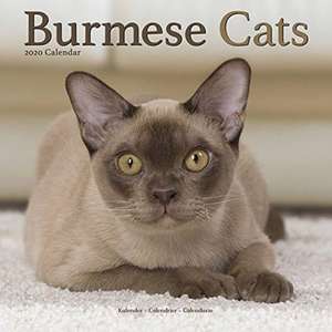 Burmese Cats - Burmesen - Burma Katzen 2020 - 18-Monatskalender de AVONSIDE PUBLISHING