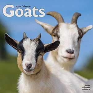 Goats Calendar 2020 de Avonside Publishing Ltd