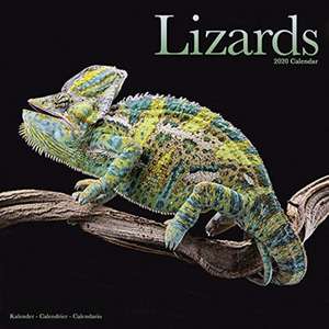 Lizards - Eidechsen 2020 de AVONSIDE PUBLISHING