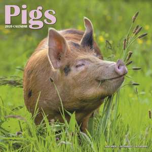 Pigs Calendar 2020 de Avonside Publishing Ltd