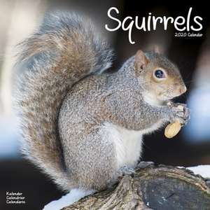 Squirrels Calendar 2020 de Avonside Publishing Ltd