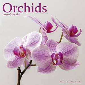 Orchids - Orchideen 2020 de AVONSIDE PUBLISHING