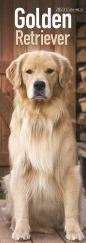 Golden Retriever Slim Calendar 2020 de Avonside Publishing Ltd