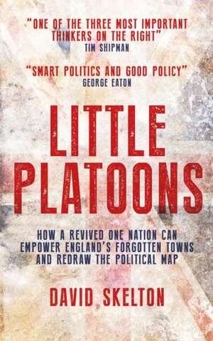 Little Platoons de David Skelton