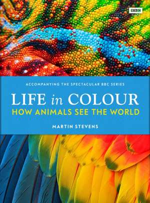 Life in Colour de Martin Stevens