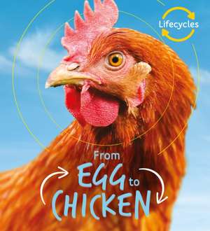 Lifecycles: Egg to Chicken de Camilla De La Bedoyere