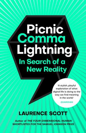 Picnic Comma Lightning de Laurence Scott