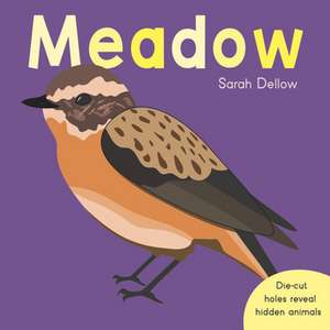 Now you See It! Meadow de Sarah Dellow