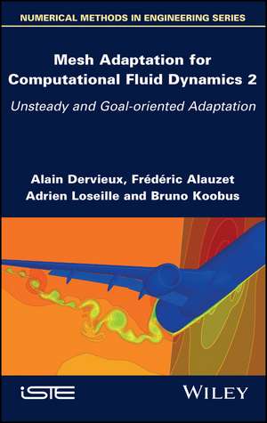 Mesh Adaptation for Computational Fluid Dynamics – Unsteady and Goal–oriented Adaptation, Volume 2 de A Dervieux