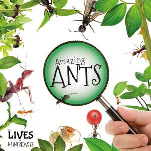 Duhig, H: Amazing Ants de Holly Duhig