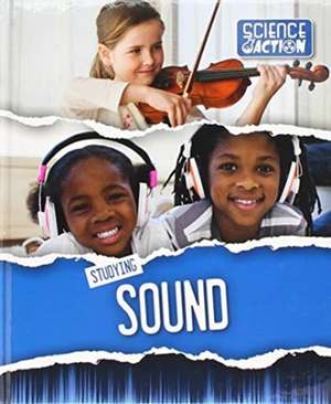 Studying Sound de Robin Twiddy