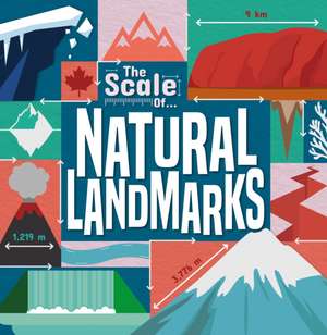 Brundle, J: Natural Landmarks de Joanna Brundle