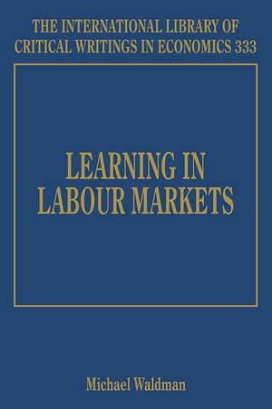 Learning in Labour Markets de Michael Waldman