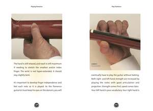 Play Flamenco: Easy-to-Use, Easy-to-Carry; Over 100 Examples de Michael Heatley