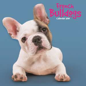 FRENCH BULLDOGS M 2019