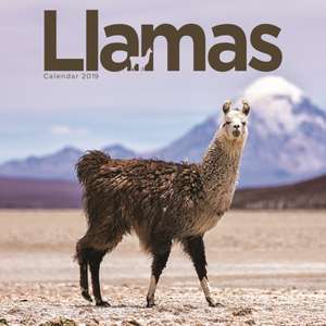 Llamas W 2019