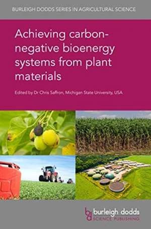 Achieving Carbon Negative Bioenergy Systems from Plant Materials