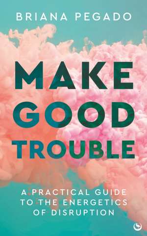 Make Good Trouble de Briana Pegado