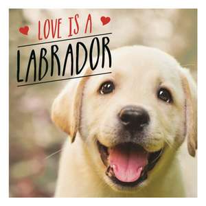 Love Is a Labrador: A Lab-Tastic Celebration of the World's Favourite Dog de Charlie Ellis