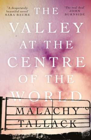 The Valley at the Centre of the World de Malachy Tallack