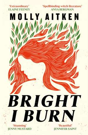 Bright I Burn de Molly Aitken