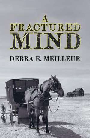 A Fractured Mind de Debra E. Meilleur