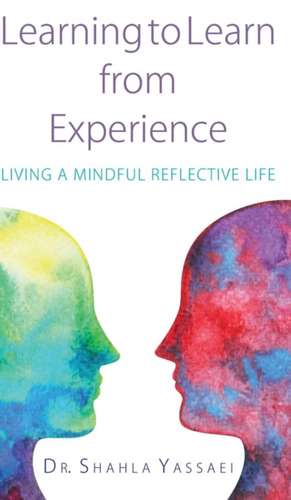 Learning to Learn from Experience de Shahla Yassaei