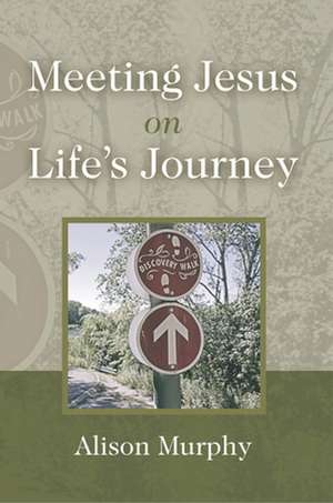 Meeting Jesus on Life's Journey de Murphy, Alison